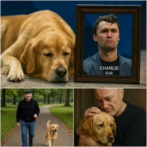 MORE THAN A GOODBYE: Charlie Kirk took his last breath at the age of 31, but it was his loyal dog who sat quietly by his portrait — NOW, Phil Collins has adopted his companion. MORE THAN A GOODBYE: Charlie Kirk took his last breath at the age of 31, but it was his loyal dog who sat quietly by his portrait — NOW, Phil Collins has adopted his companion.