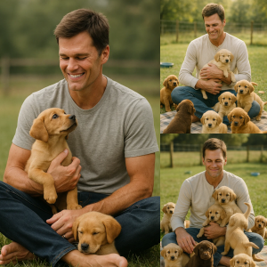 The Champion of Second Chances — How Tom Brady’s Love for Abandoned Dogs Melted Millions of Hearts The Champion of Second Chances — How Tom Brady’s Love for Abandoned Dogs Melted Millions of Hearts
