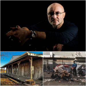 PHIL COLLINS BUILDS “FIELD OF GRACE”: A SANCTUARY FOR REDEMPTION, COMPASSION, AND SECOND CHANCES