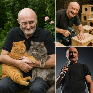 “My mother always taught me to care for animals that can’t speak for themselves. I guess it’s ingrained in me — because I’ve always had a special affection for animals with fur and big eyes.” — Phil Collins
