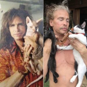 ROCK LEGEND’S SECRET MISSION EXPOSED! STEVEN TYLER SPENDS  MILLION ON A MYSTERIOUS CAT SANCTUARY — AND THE WORLD IS WONDERING: WHAT IS HE REALLY BUILDING OUT THERE?