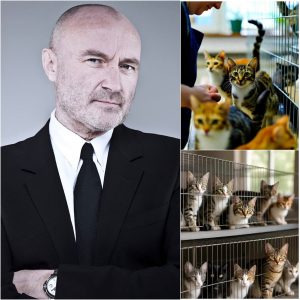 PHIL COLLINS OPENS “WHISKER HAVEN” — A  MILLION SANCTUARY FOR STRAY CATS IN HIS HOMETOWN OF CHISWICK, LONDON