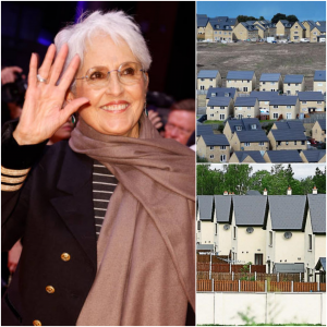 LATEST NEWS 🚨: Joan Baez Has Touched the World’s Hearts Again — This Time Not With a Song, But With a Breathtaking Act of Generosity