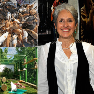 Joan Baez Opens “Whisker Haven” Rescue Farm on Staten Island