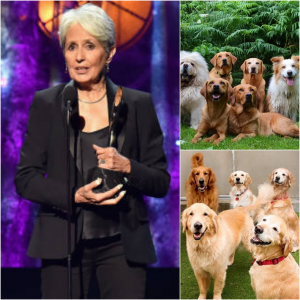 Joan Baez is Building “The Evergreen Sanctuary” — A Haven of Hope for Abused and Abandoned Dogs